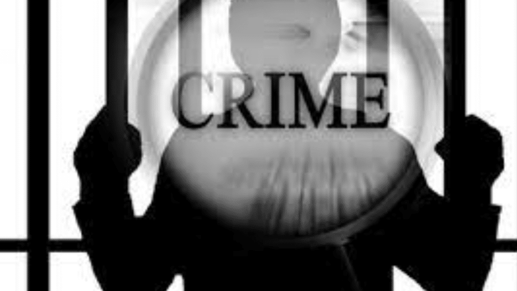 Understanding Accomplices: Factors Shows Involvement In Crime